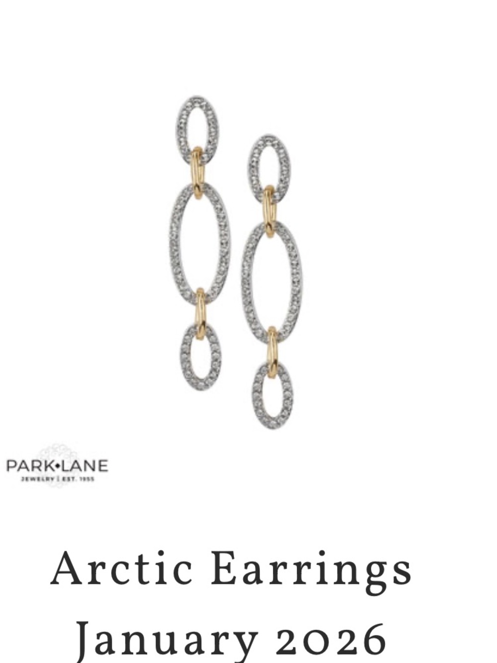 Park Lane Silver and Gold Arctic Drop Earrings - January 2026 Sparkle Box